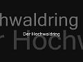 Hochwaldring-1